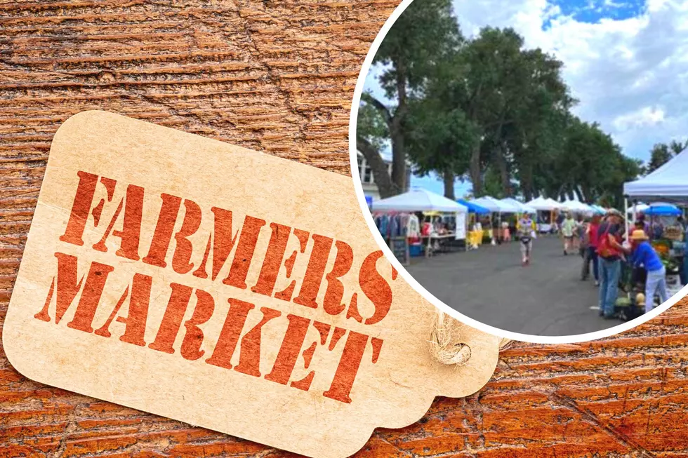 Gem City Nights Music And Arts At Farmer’s Market This Month